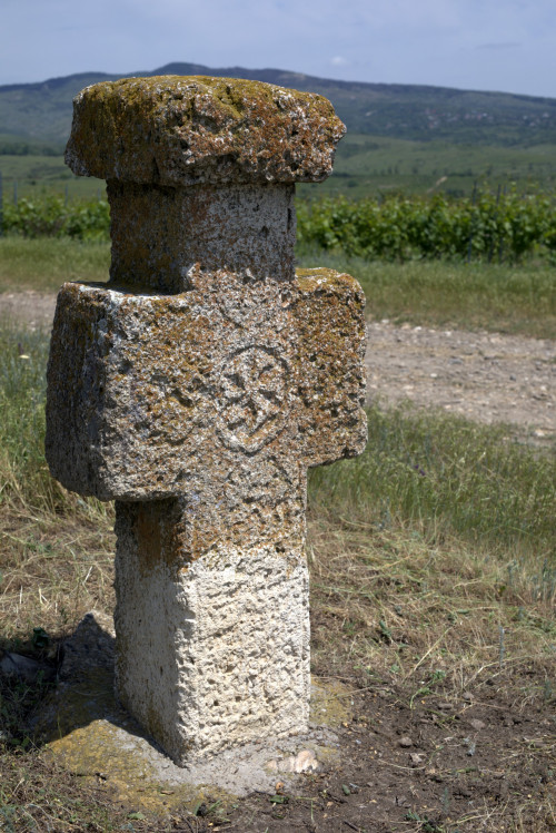 Cruce latină | Proșca