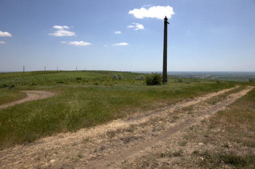 Cruce latină | Proșca