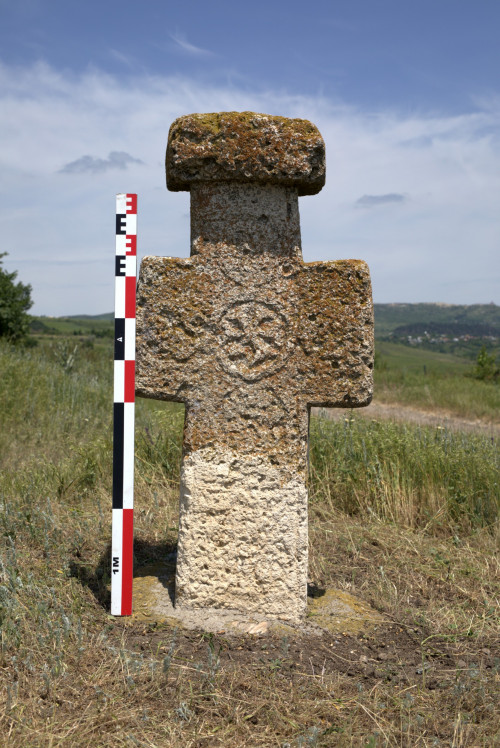 Cruce latină | Proșca