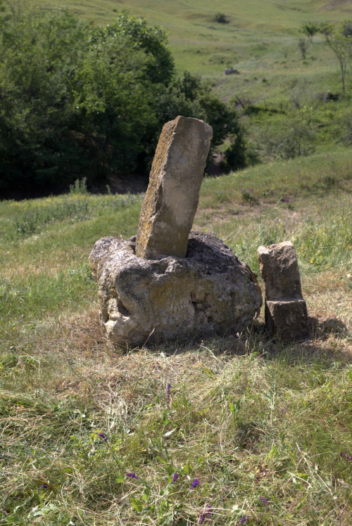 Cruce latină | Fințești