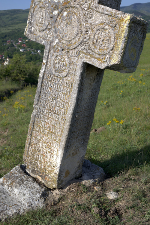 Cruce latină | Fințești