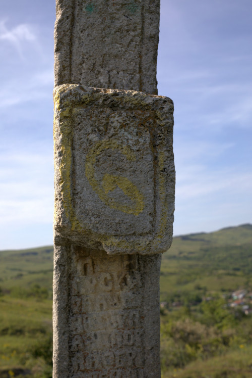 Cruce latină | Fințești