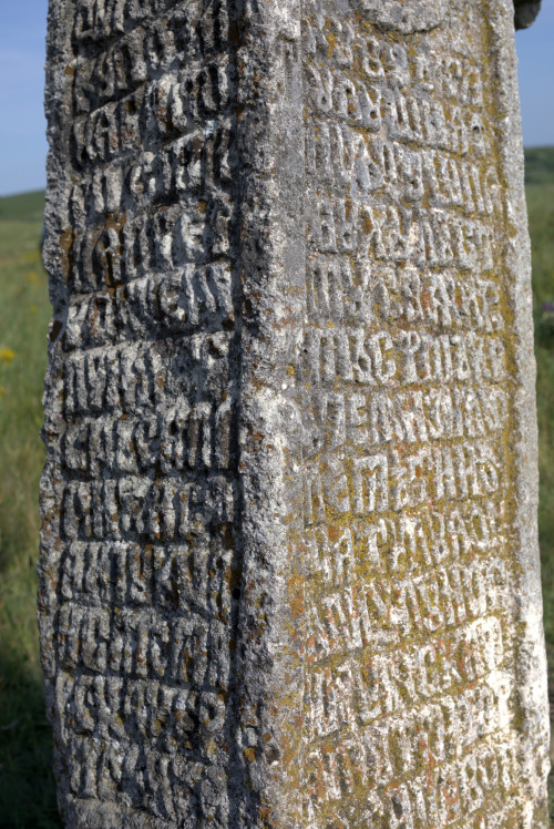 Cruce latină | Fințești