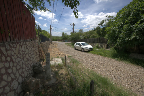 Cruce latină | Năeni