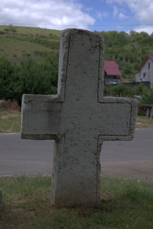 Cruce latină | Năeni