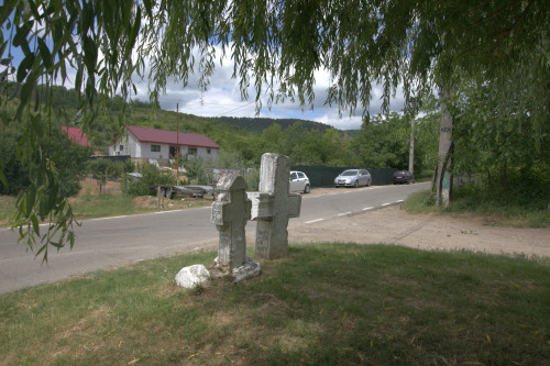 Cruce latină | Năeni