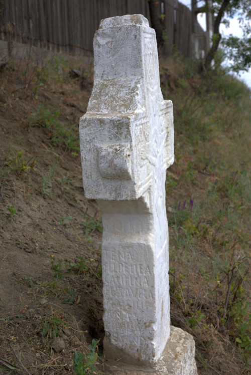 Cruce latină | Năeni