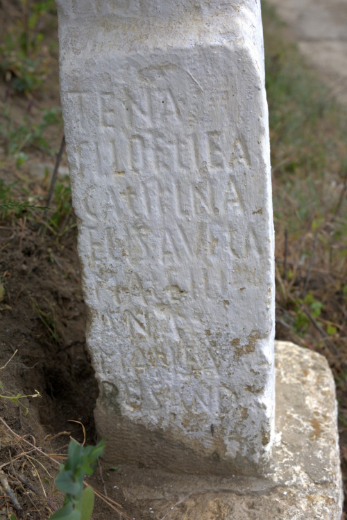 Cruce latină | Năeni