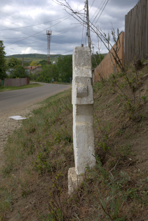 Cruce latină | Năeni