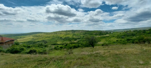 Cruce latină | Năeni