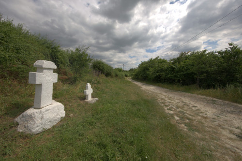 Cruce latină | Năeni