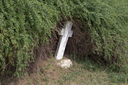 Cruce latină | Năeni