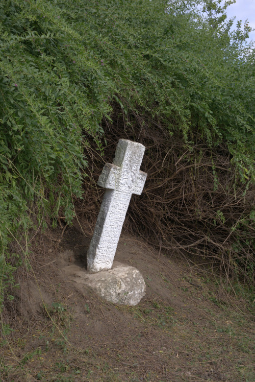 Cruce latină | Năeni