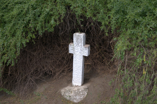 Cruce latină | Năeni