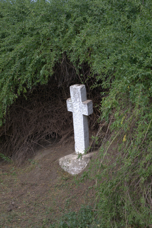 Cruce latină | Năeni