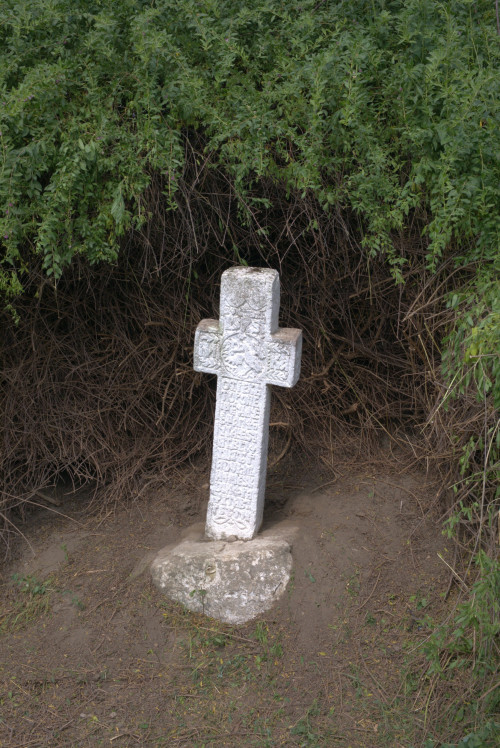 Cruce latină | Năeni