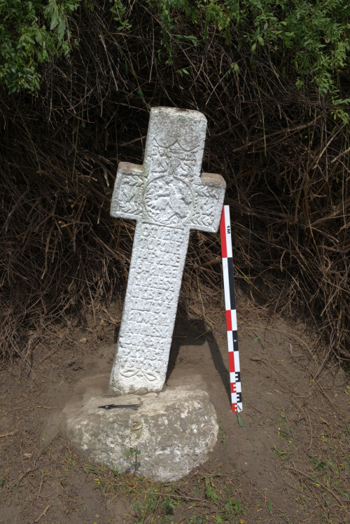 Cruce latină | Năeni