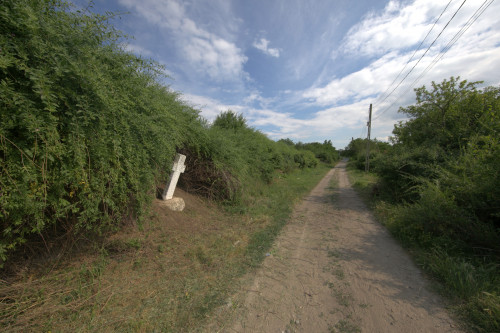 Cruce latină | Năeni