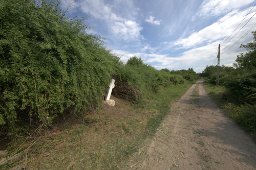 Cruce latină | Năeni