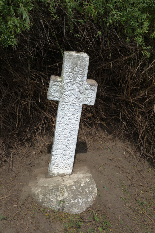 Cruce latină | Năeni