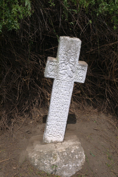 Cruce latină | Năeni