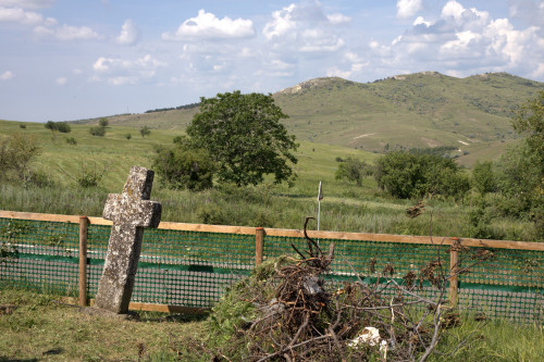 Cruce latină | Fințești