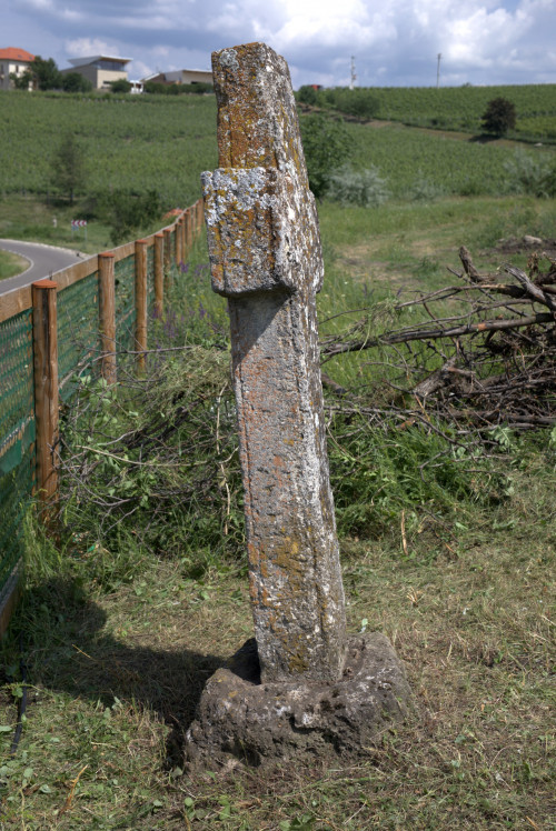 Cruce latină | Fințești