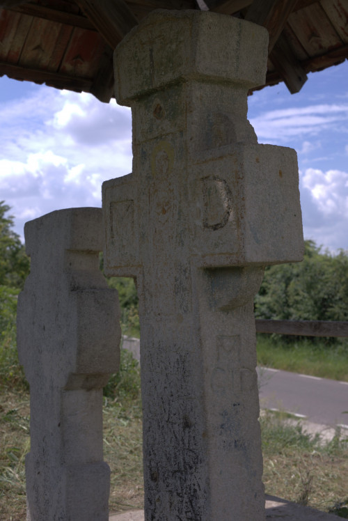 Cruce latină | Fințești