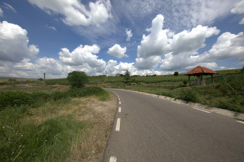 Cruce latină | Fințești