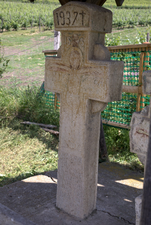 Cruce latină | Fințești