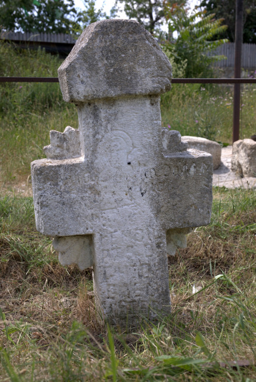 Cruce latină | Proșca