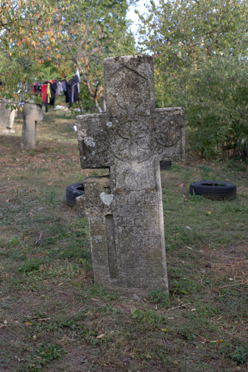 Cruce cu pui | Vispești