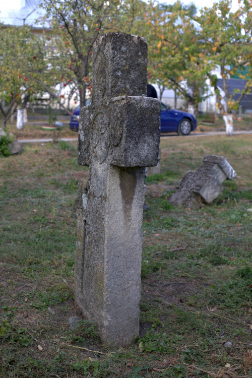 Cruce cu pui | Vispești