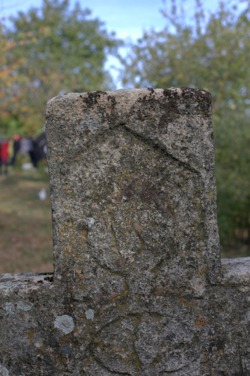 Cruce cu pui | Vispești