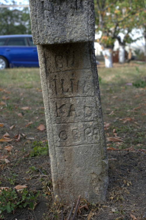 Cruce latină | Vispești