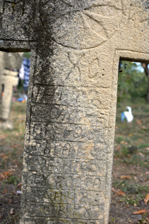 Cruce latină | Vispești