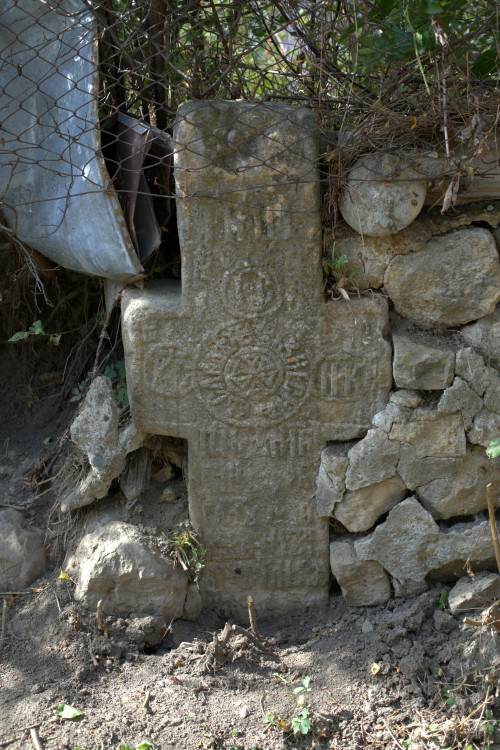 Cruce latină | Vispești