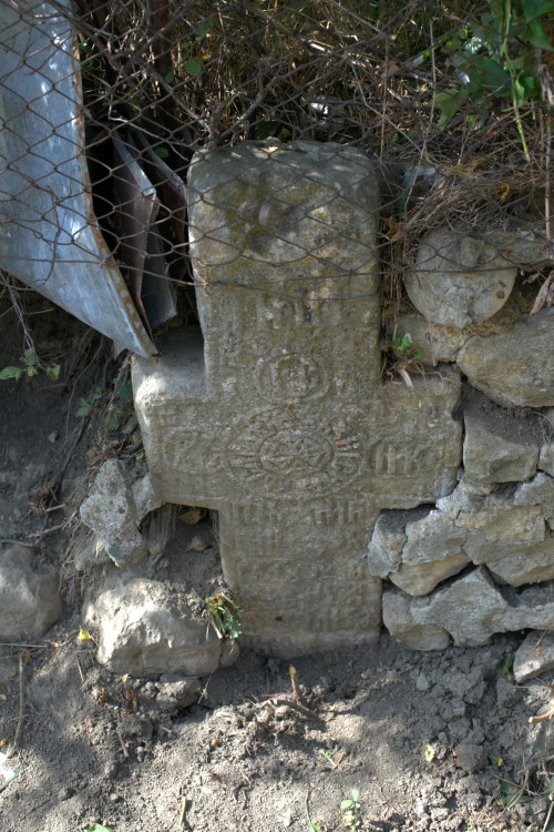 Cruce latină | Vispești