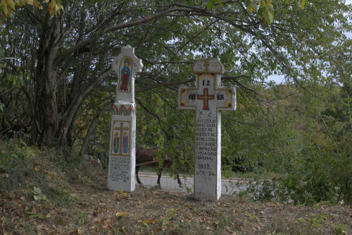 Cruce latină | Vispești