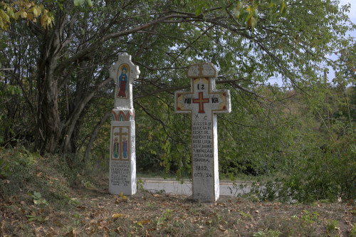 Cruce latină | Vispești