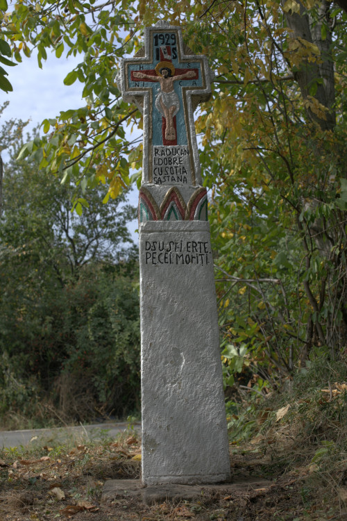 Cruce latină | Vispești