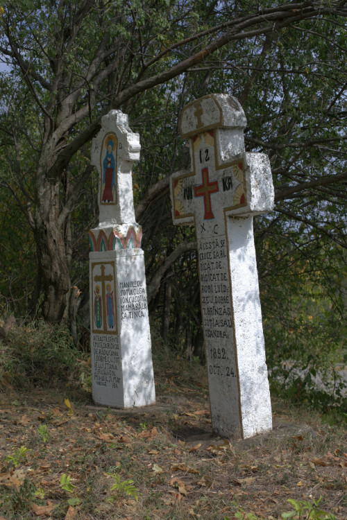 Cruce latină | Vispești