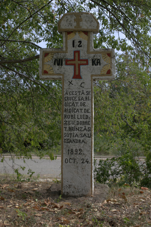 Cruce latină | Vispești