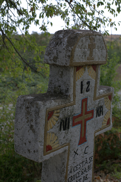 Cruce latină | Vispești