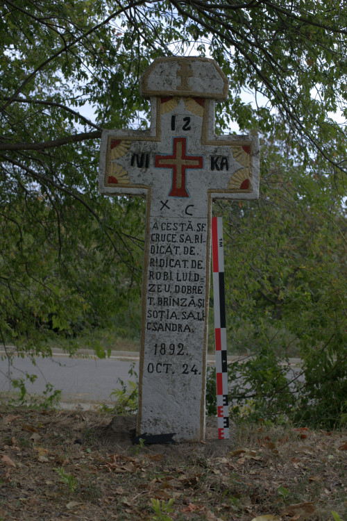 Cruce latină | Vispești