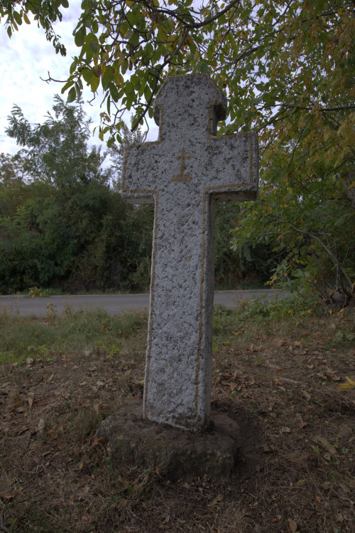 Cruce latină | Vispești