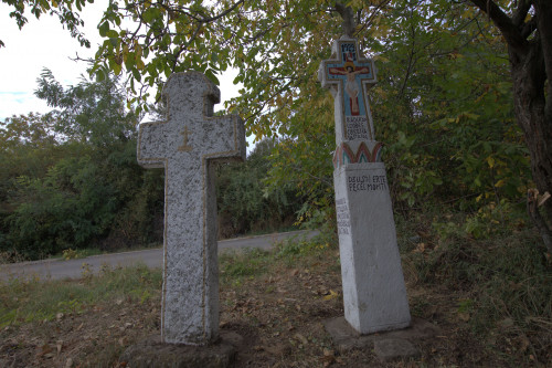 Cruce latină | Vispești