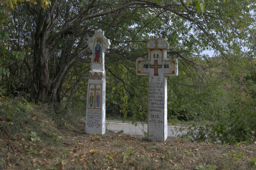 Cruce latină | Vispești