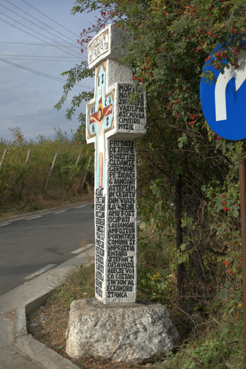 Cruce latină | Vispești