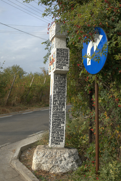 Cruce latină | Vispești